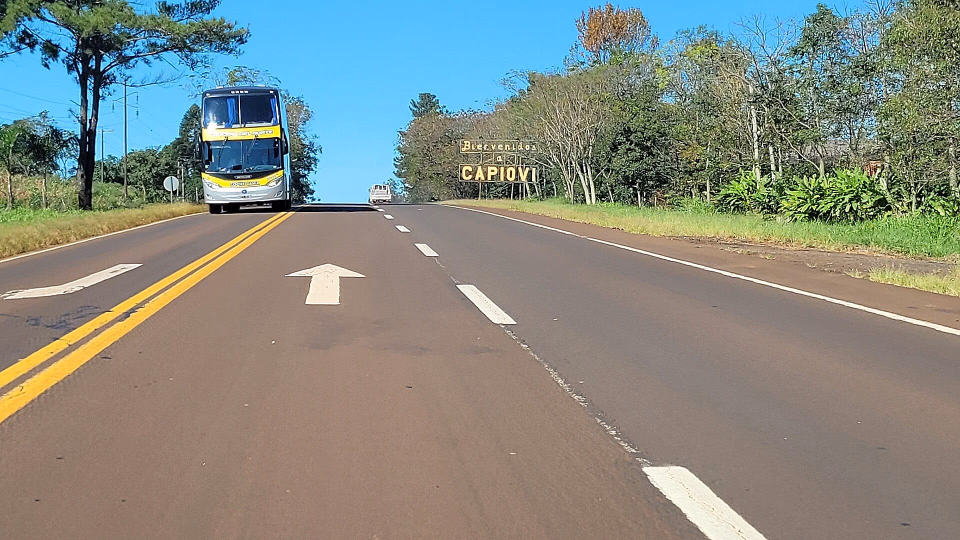 Calzada de la Ruta Nacional 12 con vegetación a ambos lados.